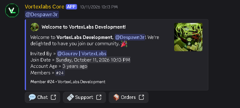 Discord Bot UI